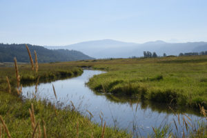Steigerwald Wildlife Refuge