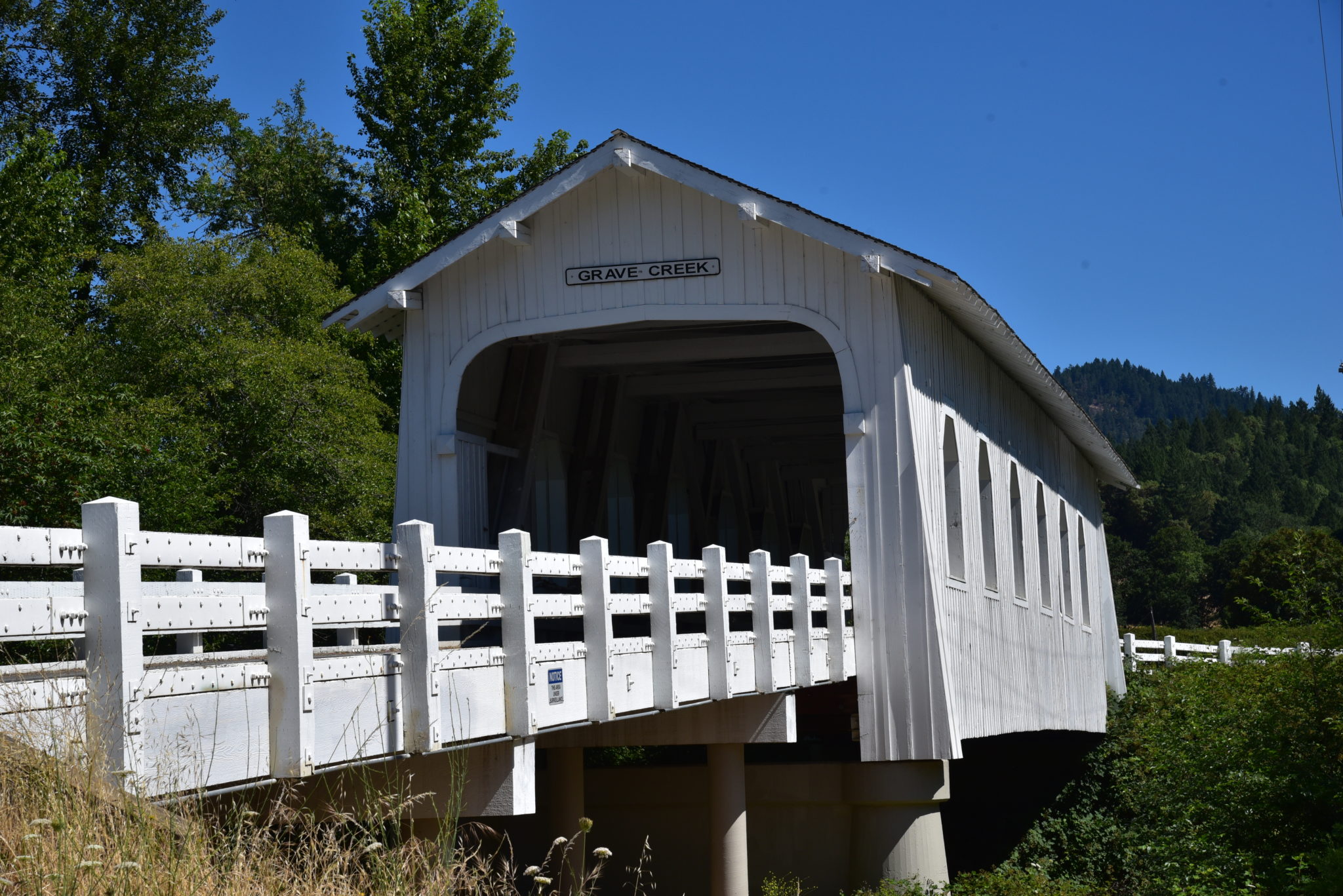 Full-Size Image