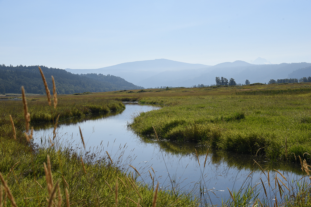 Steigerwald Wildlife Refuge
